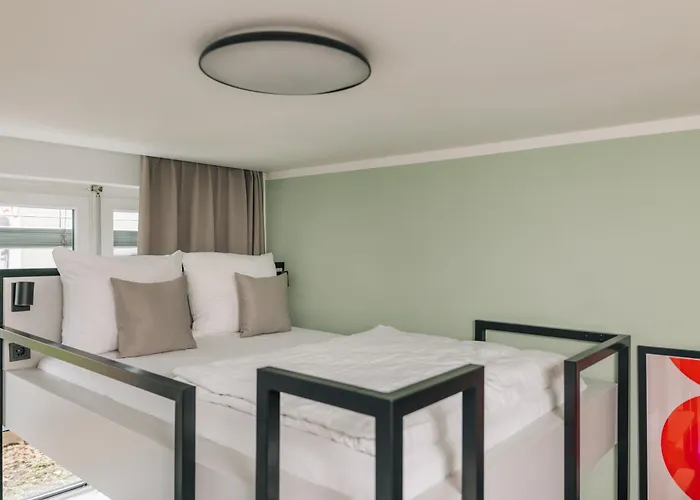 Homaris Frankfurt 美因河畔法兰克福