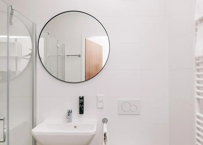 Homaris Frankfurt 美因河畔法兰克福