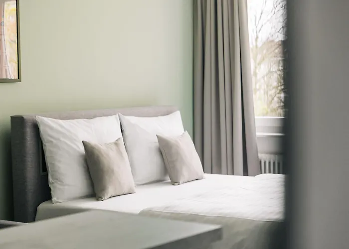 Homaris Frankfurt 美因河畔法兰克福